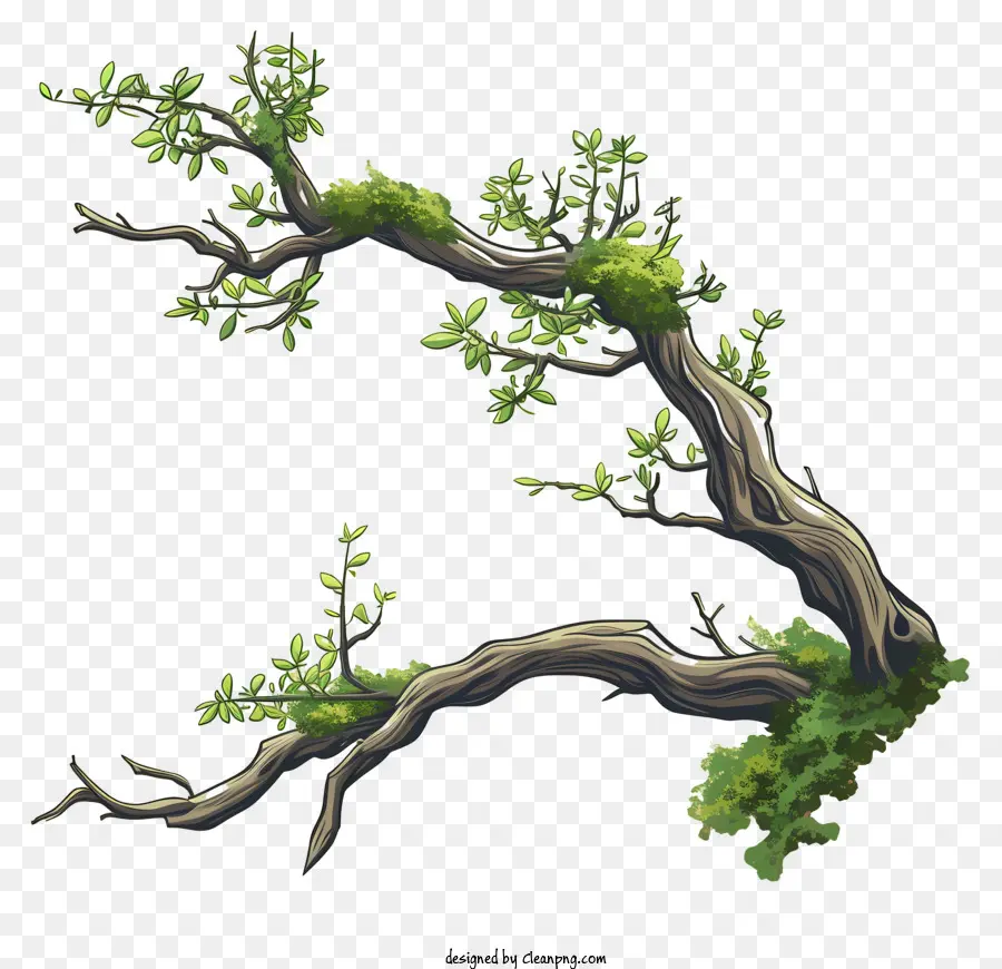Ramo E Musgo，Uma árvore Bonsai PNG