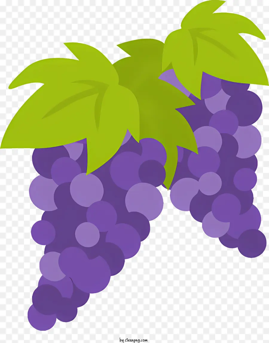 Uvas，Uvas Roxas PNG