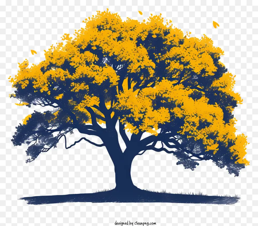 Oak Tree，árvore Majestosa PNG