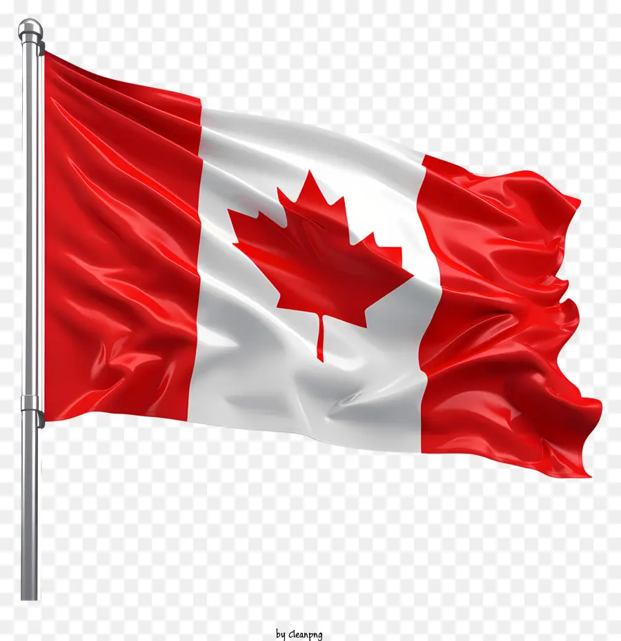 Bandeira Do Dia Do Canadá，Bandeira Canadense PNG