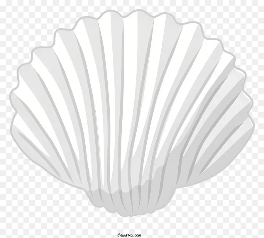 Seashell，Shell PNG