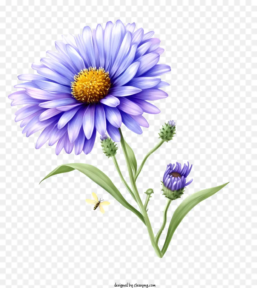 Flor De Aster Elegante Realista，Flor Azul PNG