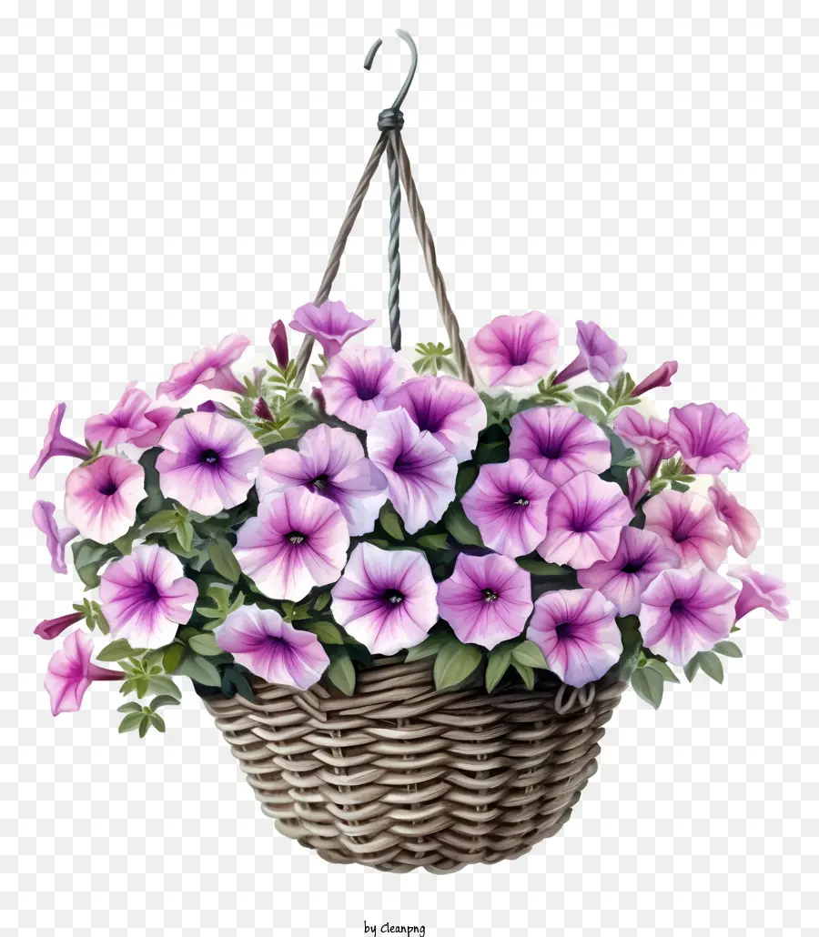 Aquarela Elegante Petúnia Flor Hanging Basket，Cesta De Tecido PNG