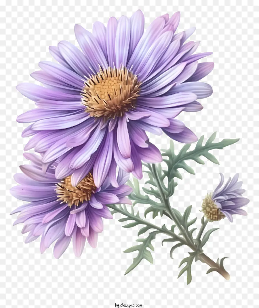 Flor De Aster Elegante Realista，Flores Roxas PNG