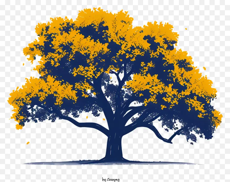 árvore，Carvalho Amarelo PNG