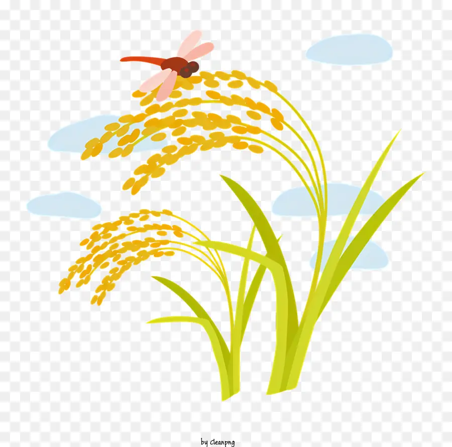 Libélula Vermelha，Rice Paddy Field PNG