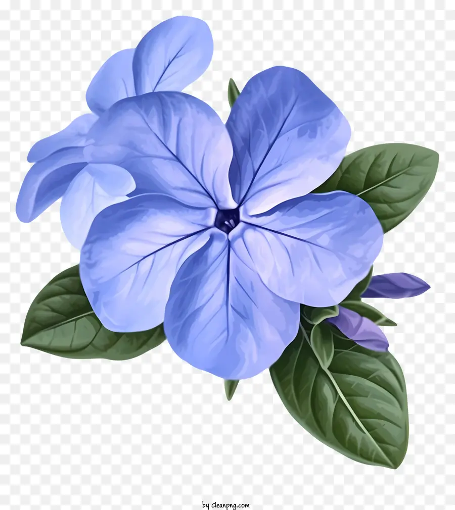 Design De Vetor De Flores De Periada Elegante，Flor Azul PNG