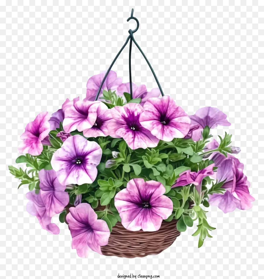 Aquarela Elegante Petúnia Flor Hanging Basket，Cesta De Tecido PNG