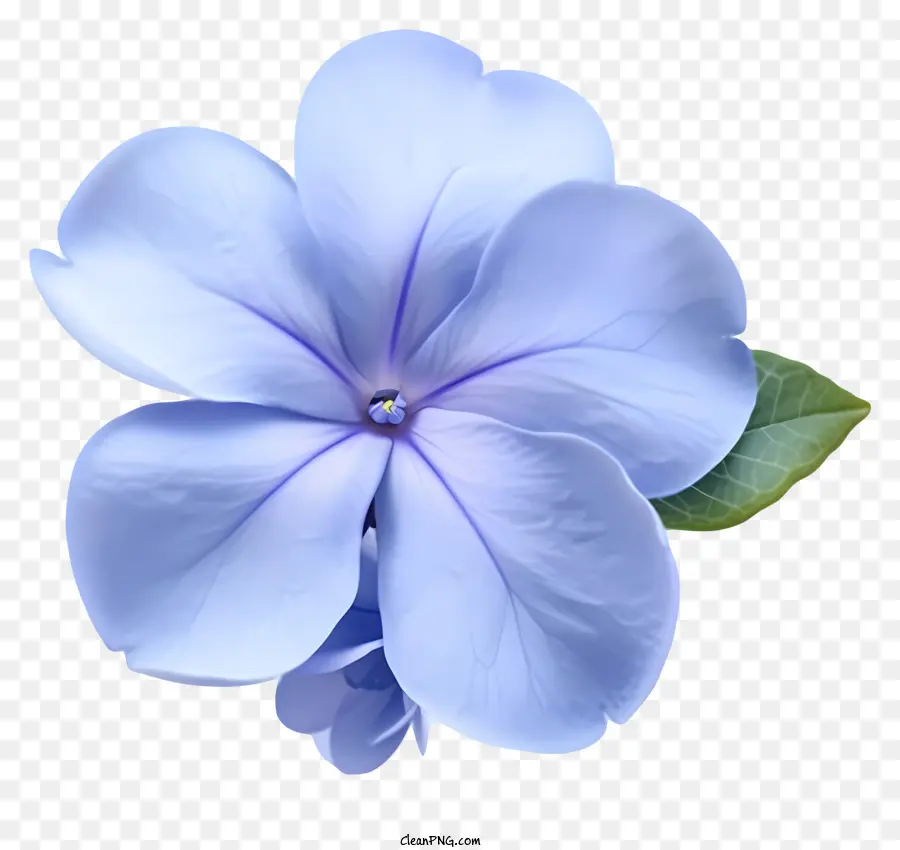 Ícone Elegante De Flor Periwinkle，A Luz Azul Da Flor PNG