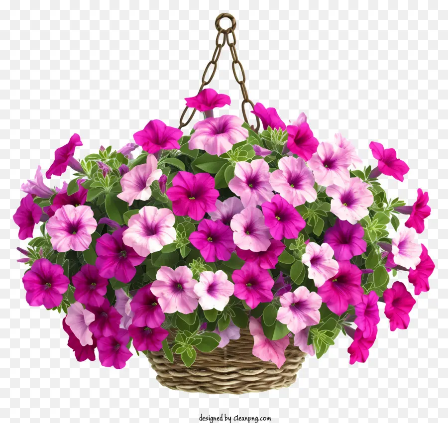 Elegante Petúnia Flower Solfing Basket Vector 3d，Cesta De Vime PNG