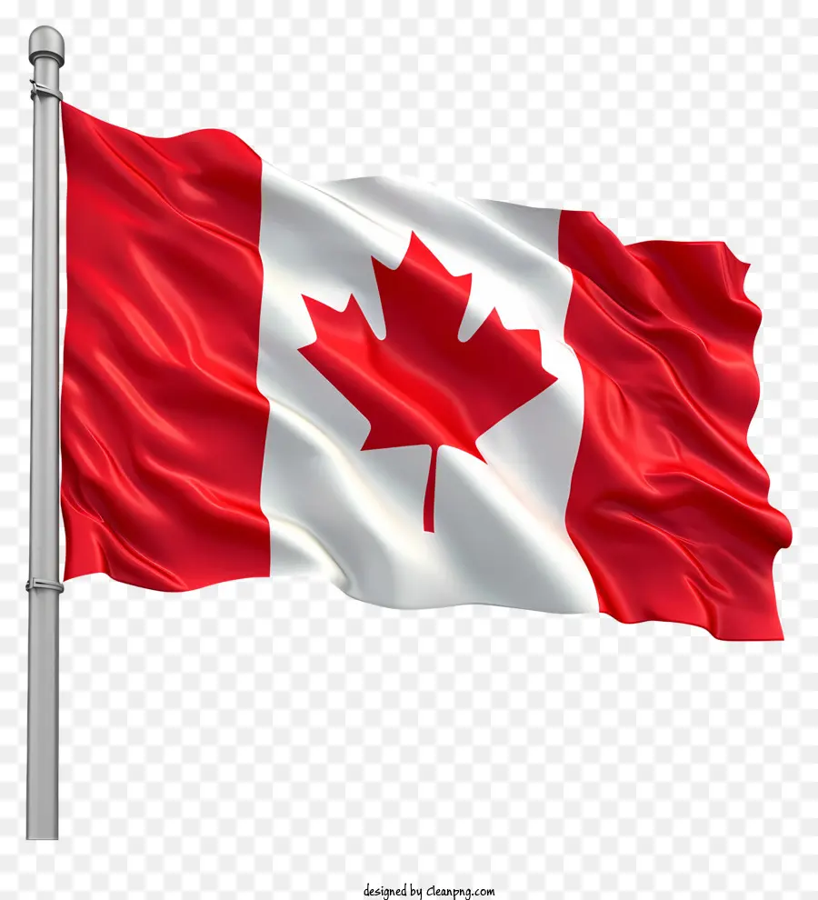 Bandeira Do Dia Do Canadá，Bandeira Do Canadá PNG