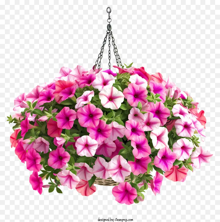 Elegante Petúnia Flower Solfing Basket Vector 3d，1 Cesta Suspensa PNG