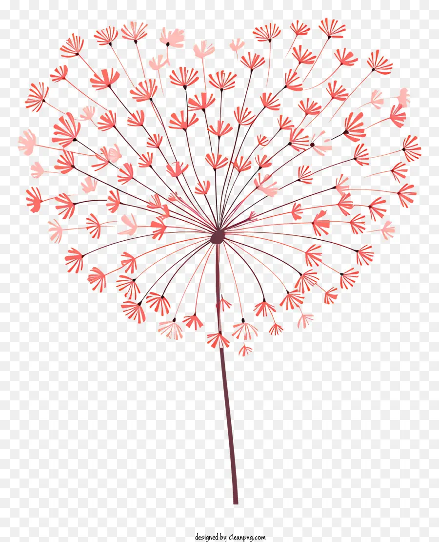 Coração Dandelion，Flor Em Forma De Coração PNG