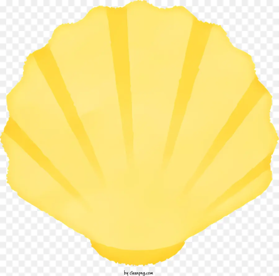 Seashell，Concha De Vieira PNG