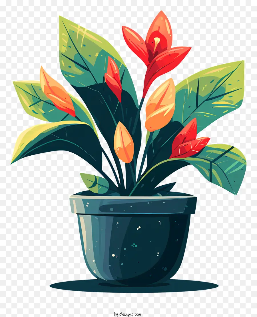 Moderno Vaso De Flores，Planta Tropical PNG