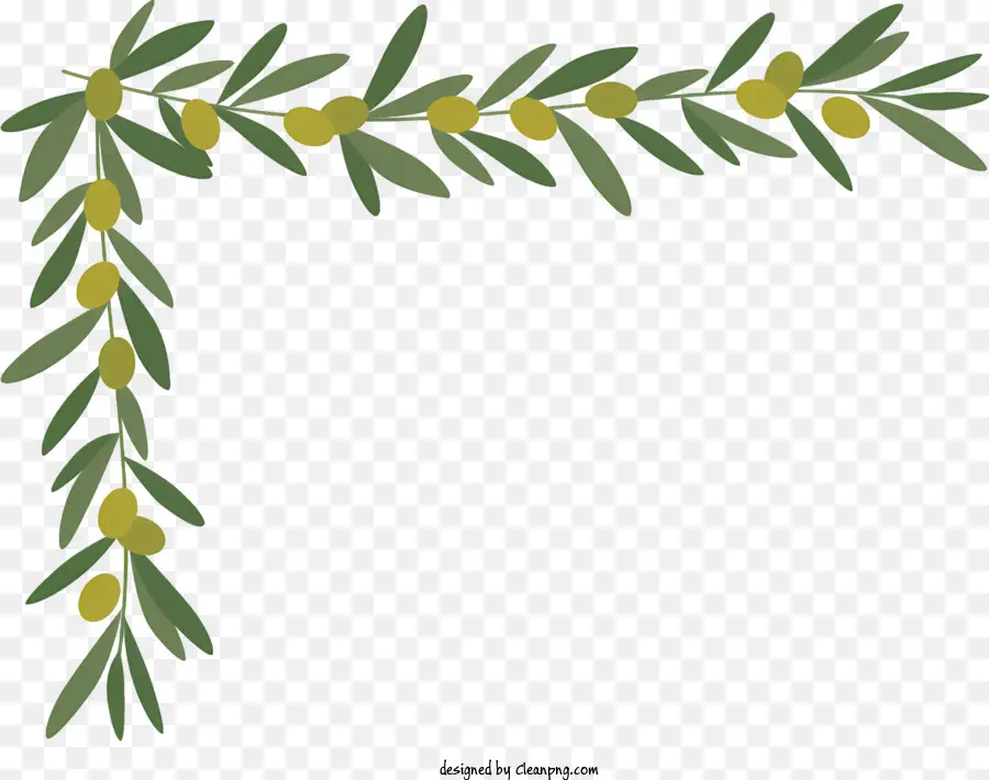 Quadro De Canto De Azeitona，Olive Branch PNG