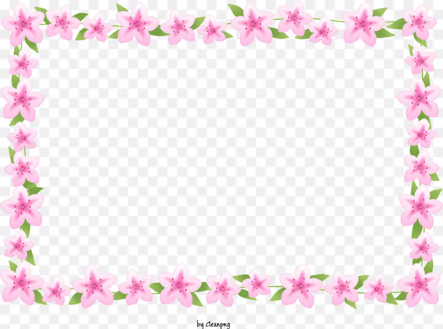Flower Frame，Floral Fronteira PNG