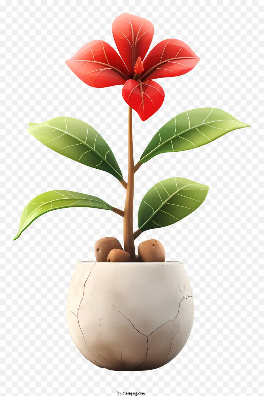 Plantar Um Dia De Flor，A Planta Crescer PNG