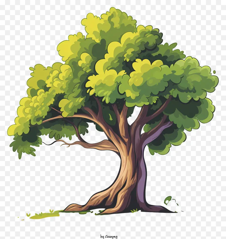 árvore，árvore Grande PNG