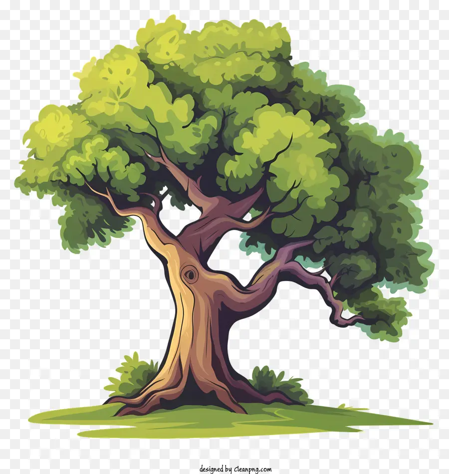 árvore，Cartoon árvore PNG