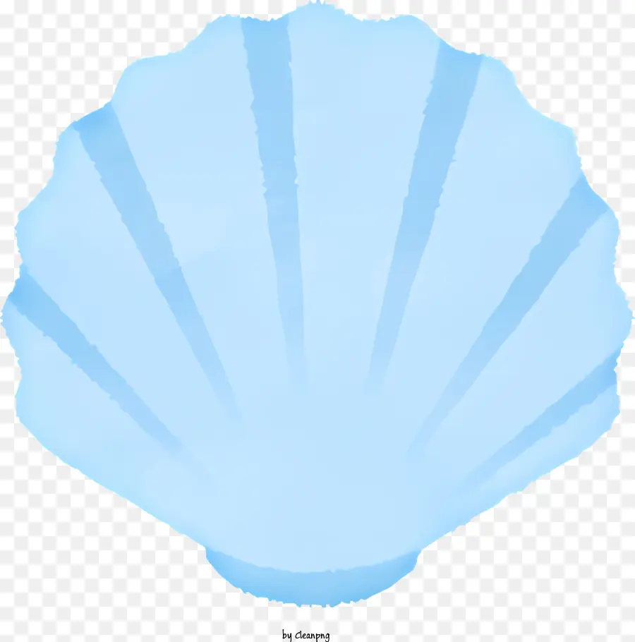Seashell，Blue Shell PNG