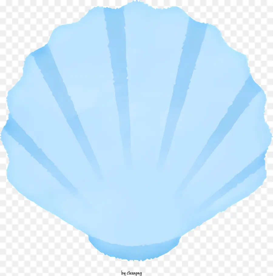 Concha，Concha Azul PNG