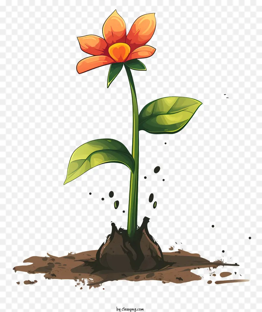 Plantar Um Dia De Flor，Flor PNG