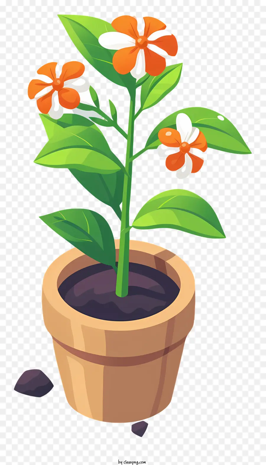 Plantar Um Dia De Flor，Vaso De Flores PNG