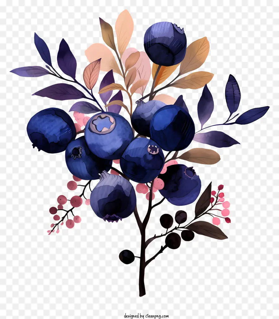 Mirtilos，Blueberry Bush PNG