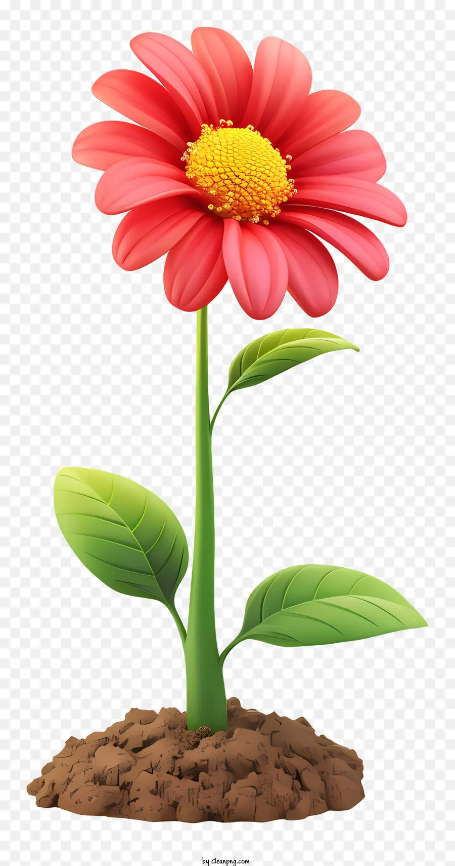 Plantar Um Dia De Flor，Flor Rosa PNG