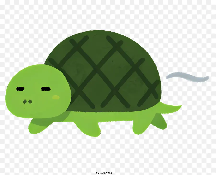 Turtle，Pequena Tartaruga Verde PNG