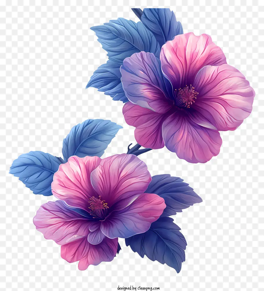 Fundo De Padrão Floral，Flores De Hibisco Rosa PNG