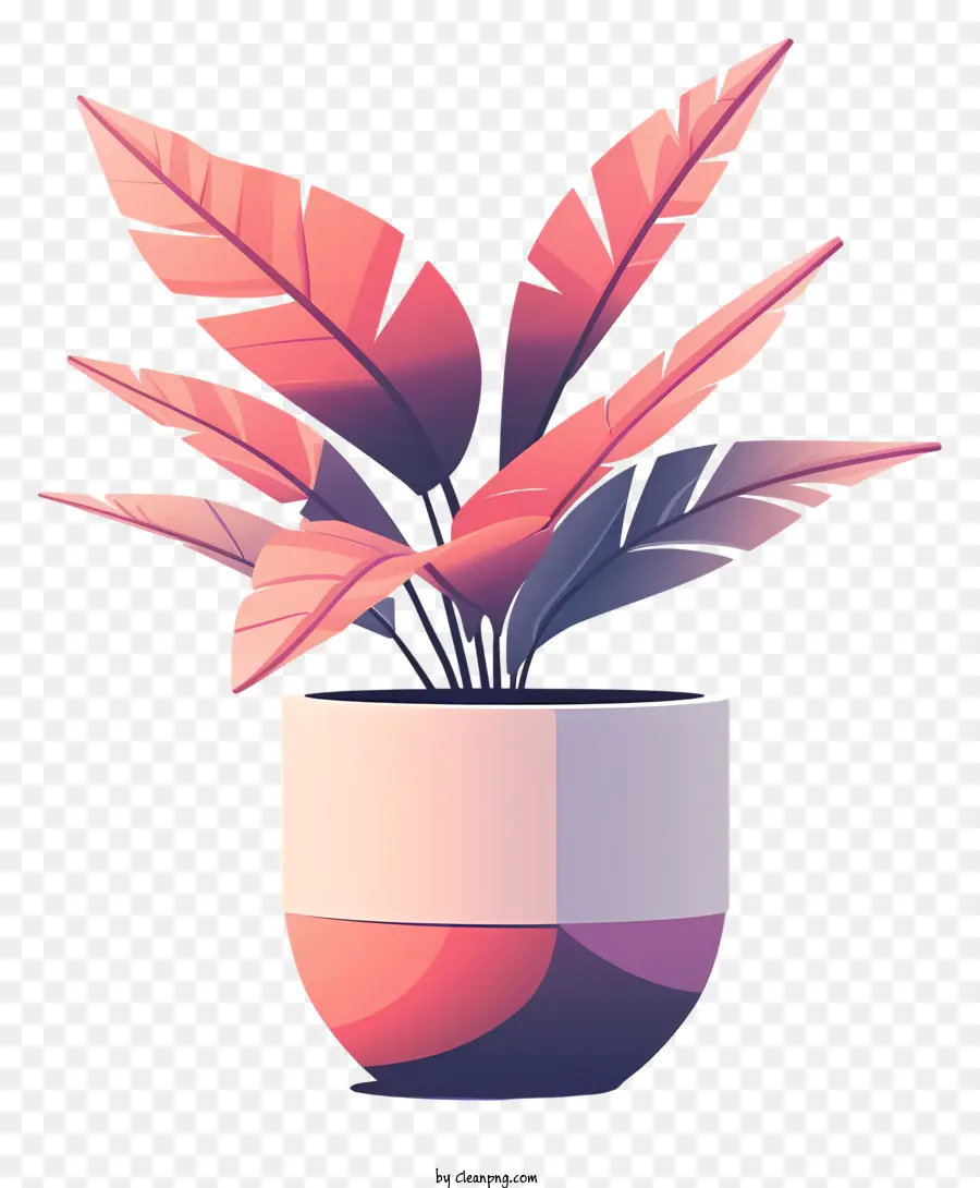 Moderno Vaso De Flores，Planta PNG