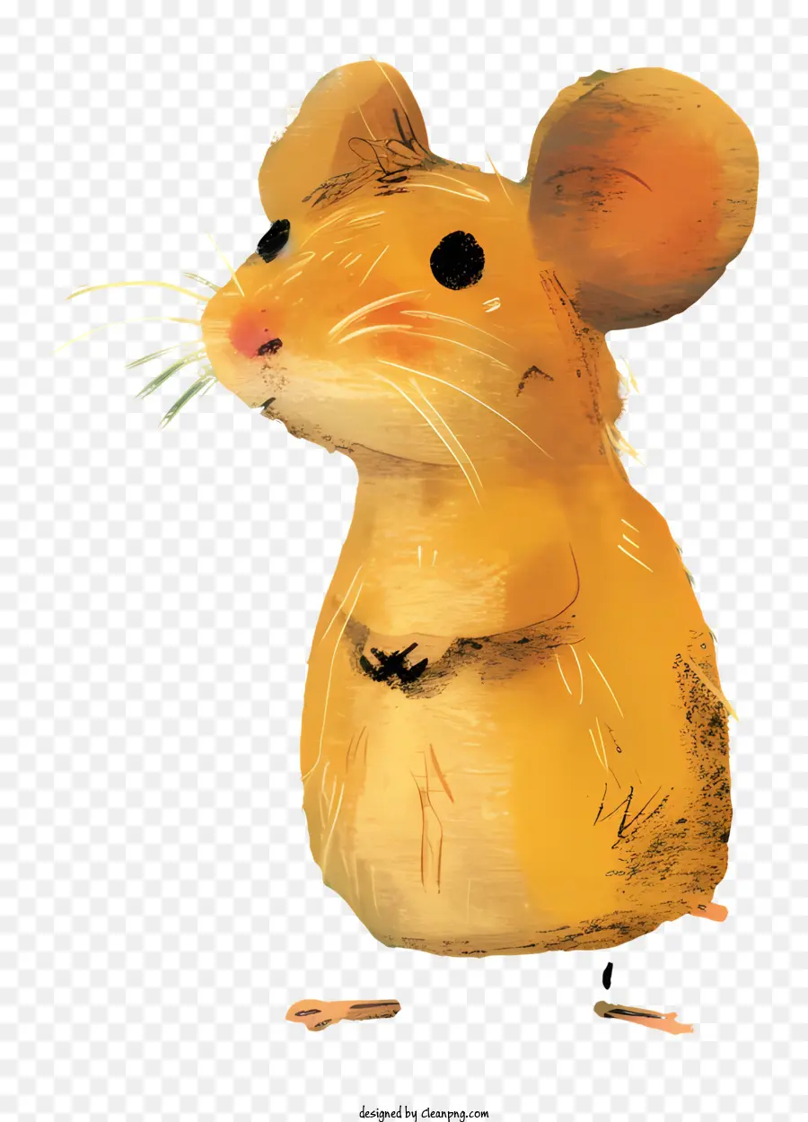 Rato Bonito，Dos Desenhos Animados Do Rato PNG