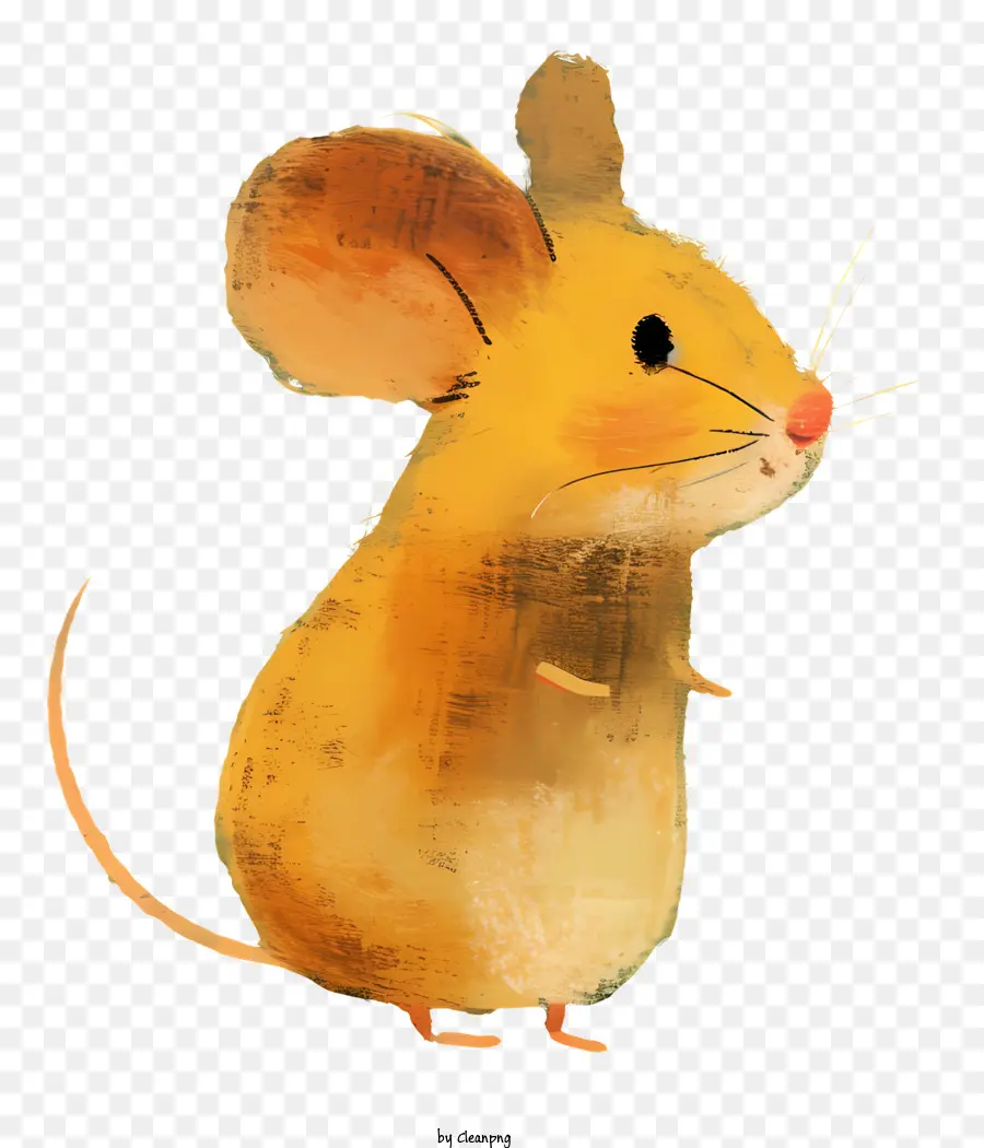 Rato Bonito，Mouse PNG