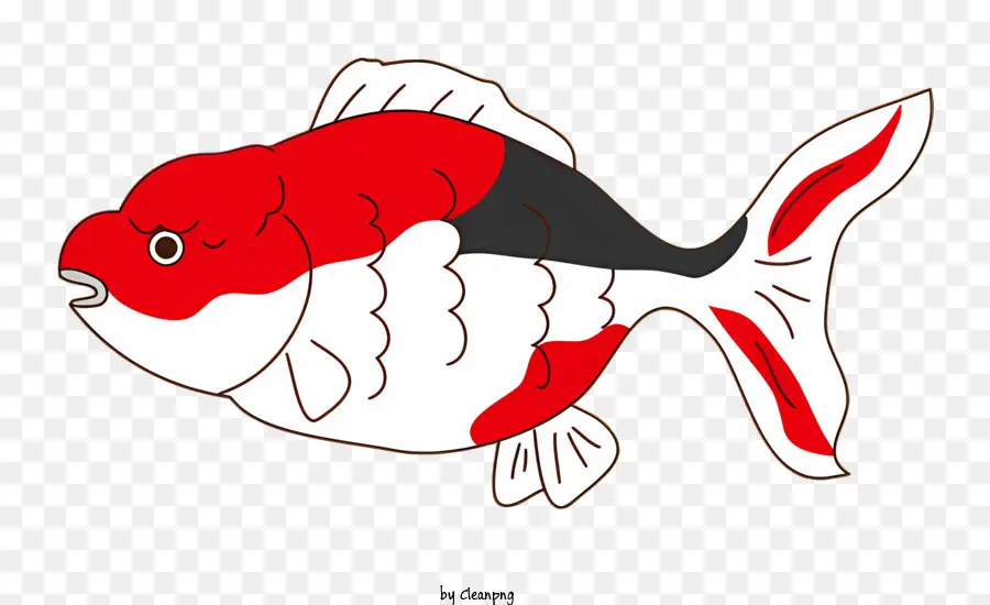 Peixe，Peixe Vermelho E Preto PNG