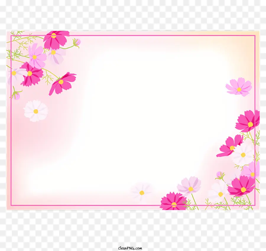 Cosmos Flor Frame，Flores Cor De Rosa PNG