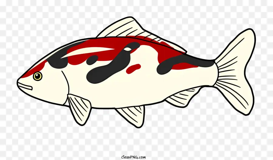 Peixe，Peixe Carpa PNG