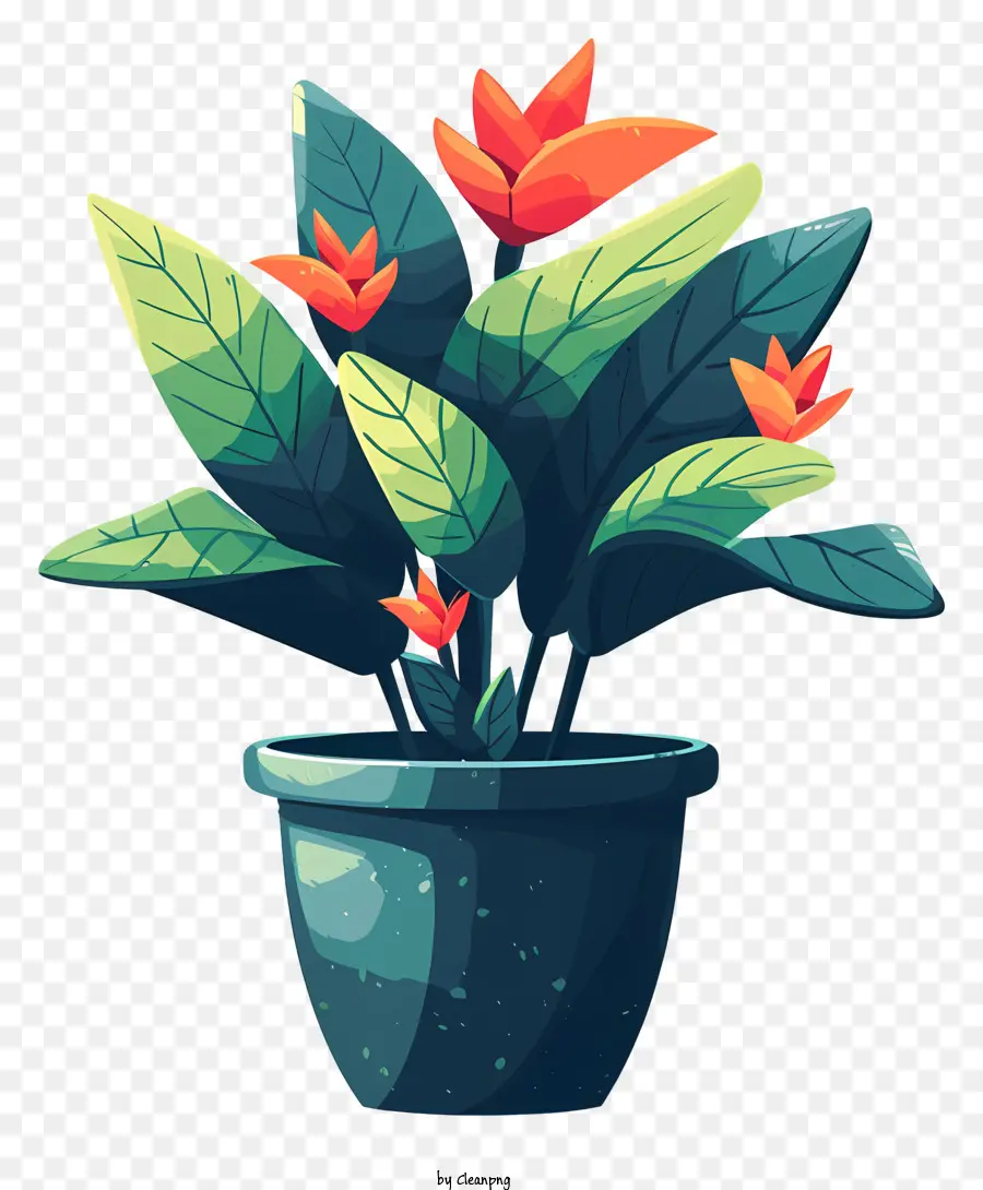 Moderno Vaso De Flores，Flores PNG