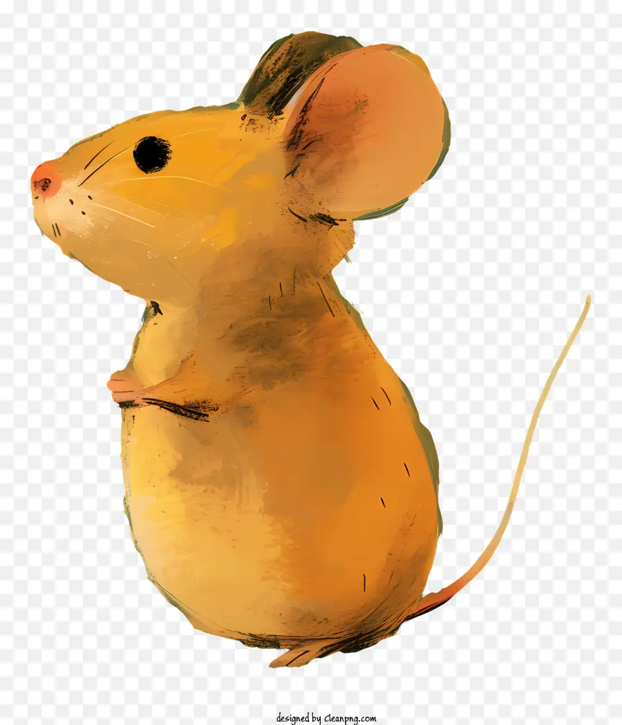 Rato Bonito，Rato De Desenho PNG