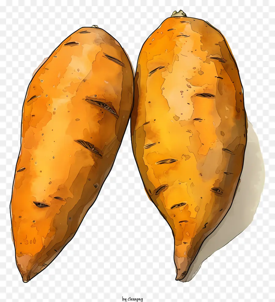 Batatas，Batata Doce PNG