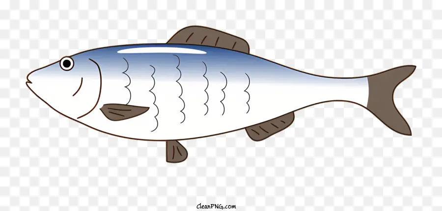 Peixe，Peixes De Desenho PNG