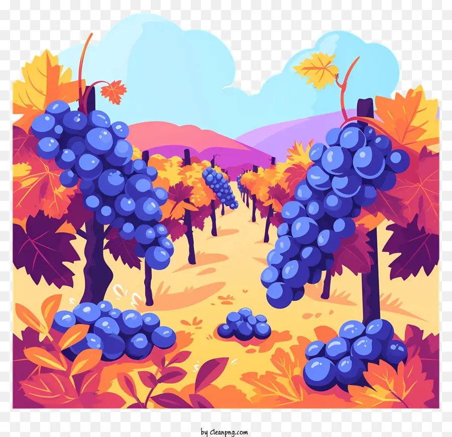 Grapes Farm，Vineyard PNG