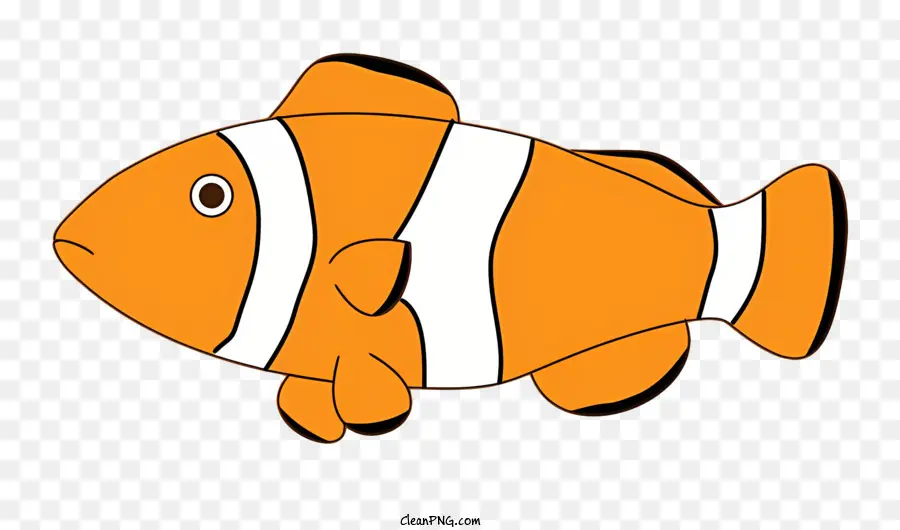 Peixe，Clown Fish PNG