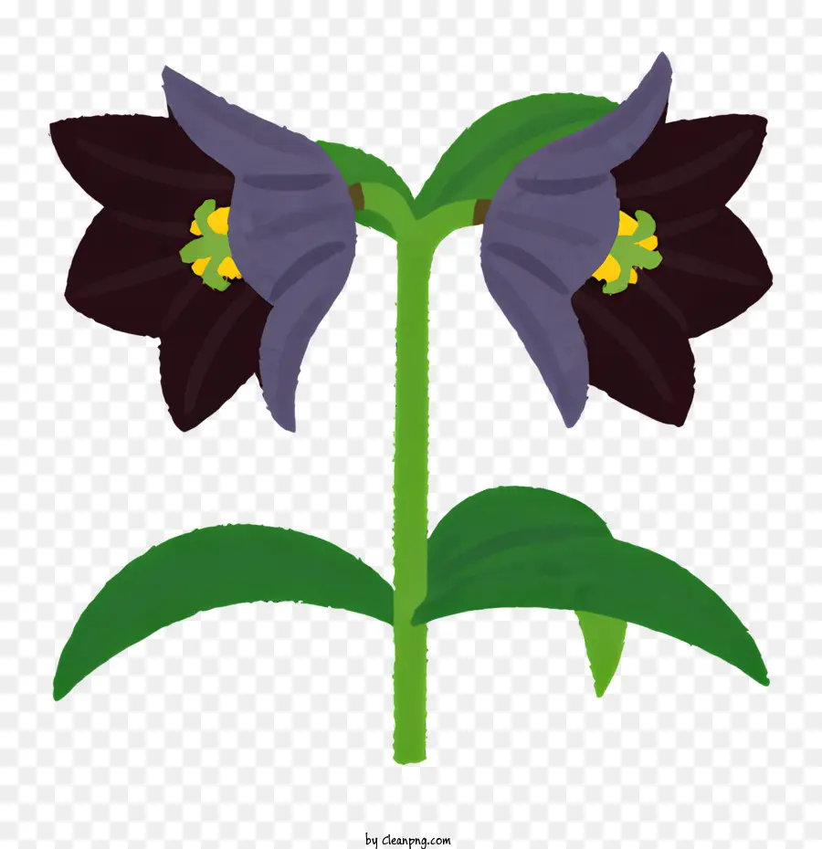 Flor，Negra Flor PNG