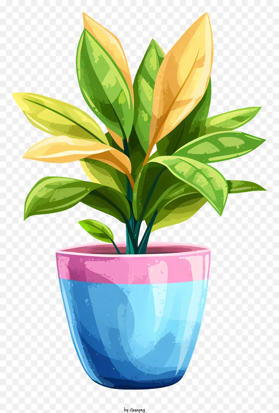 Moderno Vaso De Flores，Planta De Vaso PNG