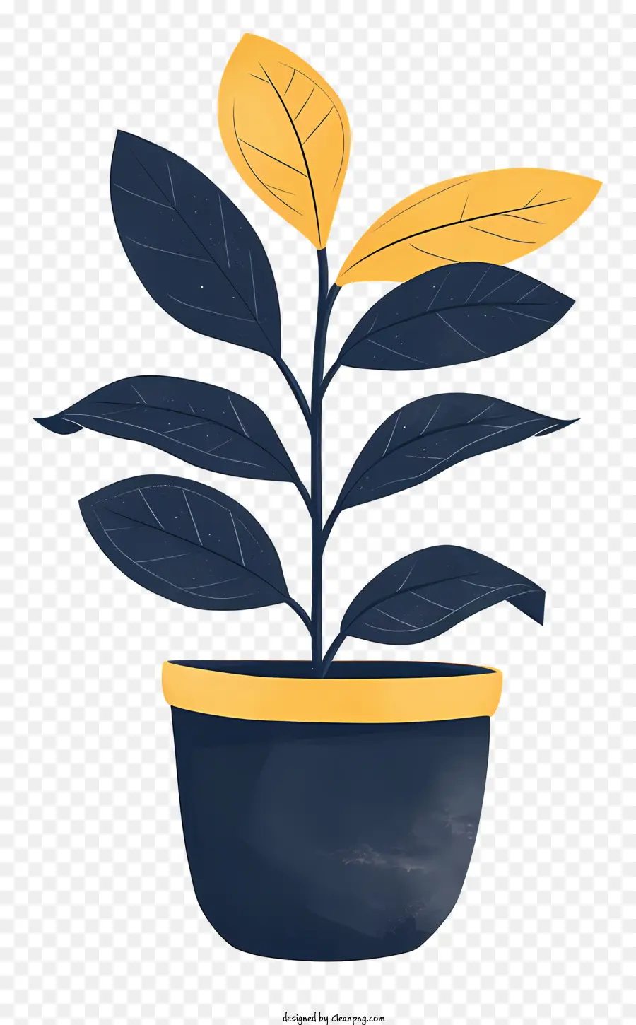 Moderno Vaso De Flores，Planta Em Vaso PNG