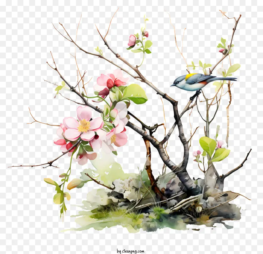 A Primavera Começa，Pássaro Sentado No Galho De árvore PNG