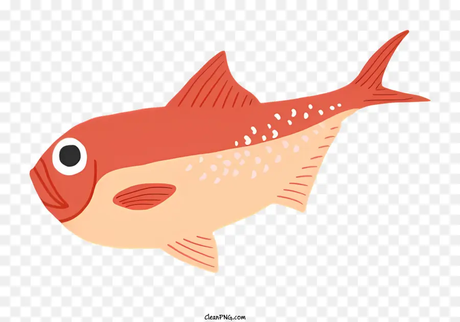 Peixe，Peixe Vermelho PNG
