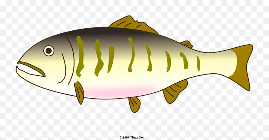 Peixe，Cartoon Peixe PNG